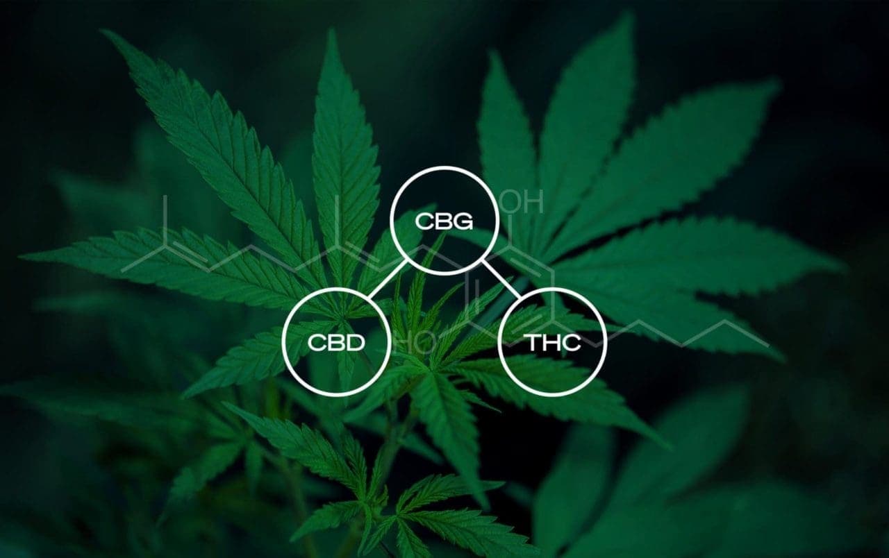 CBG cannabigerol